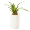 Mini Faux Greenery In White Ceramic Pot 2 Mini Faux Greenery In White Ceramic Pot -Broyhill 810509521