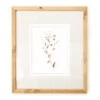 Floral Linen Framed Print -Broyhill 810540302