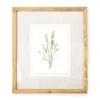 Botanical Linen Framed Print -Broyhill 810540303