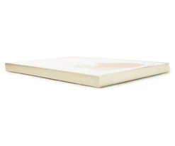 Pink & Gray Potted Plants Framed Canvas -Broyhill 810540305 1