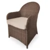 Broyhill Autumn Cove All-Weather Wicker Cushioned Patio Captain's Dining Chair 1 Broyhill Autumn Cove All-Weather Wicker Cushioned Patio Captain's Dining Chair -Broyhill 810554526