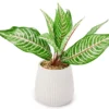Green Artificial Leafy Arrangement With White Ridged Ceramic Pot -Broyhill 810561038