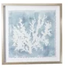 Blue & White Abstract Coral Framed Wall Art 1 Blue & White Abstract Coral Framed Wall Art -Broyhill 810561162