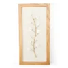 New Beginnings White Capiz Botanical Framed Wall Art -Broyhill 810595455 A0