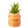 Wild Sedona Artificial Succulent In Orange Ribbed Cement Pot 2 Wild Sedona Artificial Succulent In Orange Ribbed Cement Pot -Broyhill 810601628 A0 1