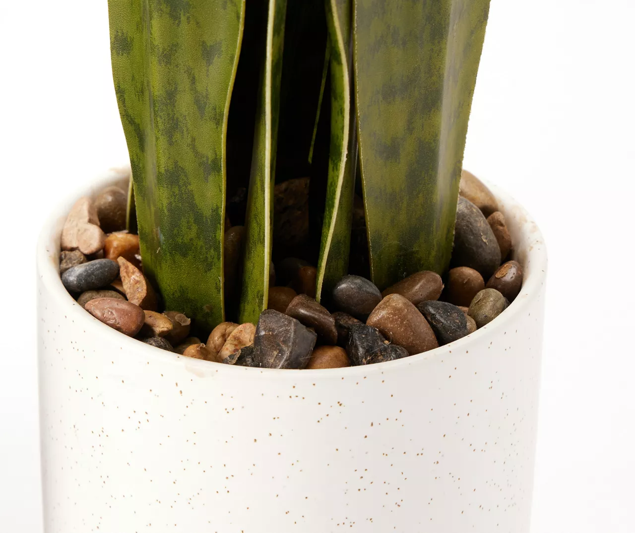 Wild Sedona Artificial Snake Plant With White Ceramic Pot 4 Wild Sedona Artificial Snake Plant With White Ceramic Pot - Image 2