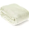 Sage Twin/Full Plush Velvet Blanket 1 Sage Twin/Full Plush Velvet Blanket -Broyhill 810609057 810609055 A0 2 1