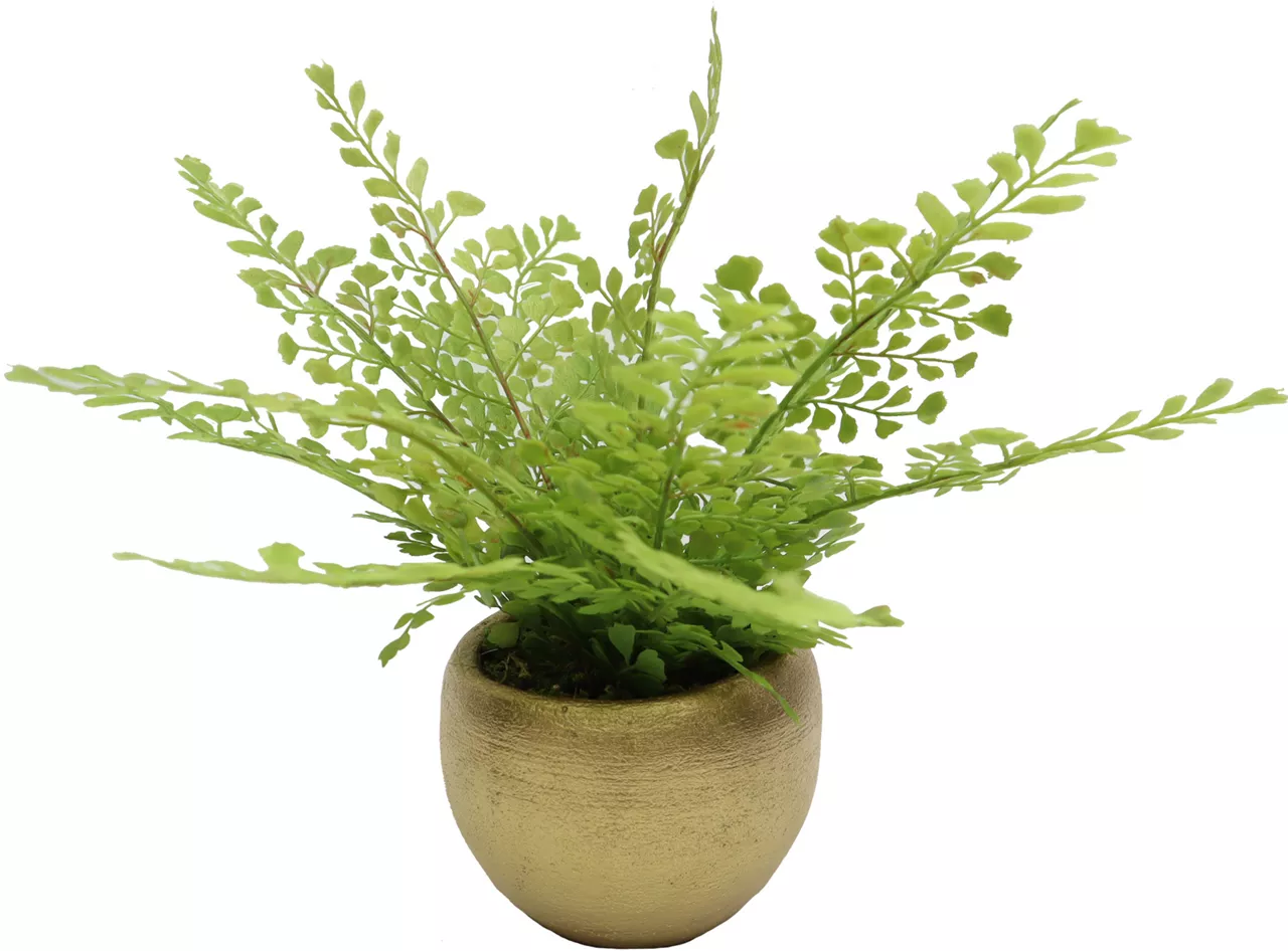 Homeward Artificial Greenery In Gold Cement Pot 3 Homeward Artificial Greenery In Gold Cement Pot